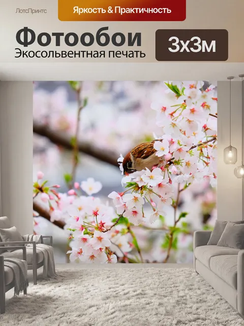 Фотообои Цветок
