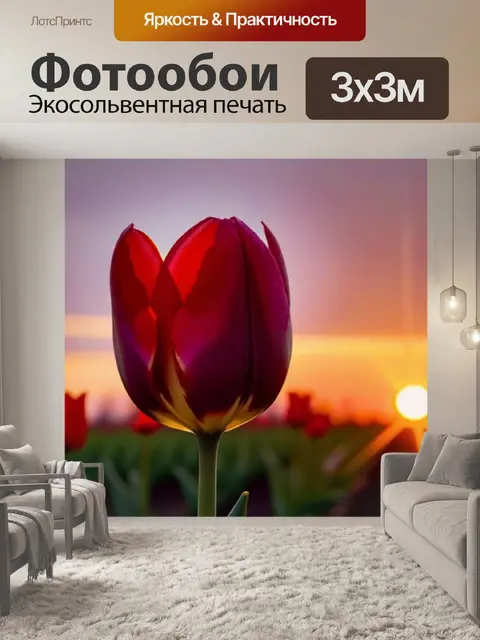 Фотообои силуэт тюльпана на фоне яркого заката