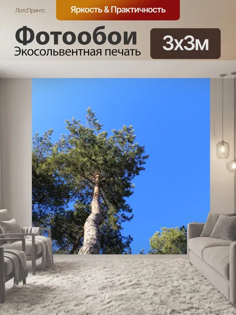 Фотообои Сосна