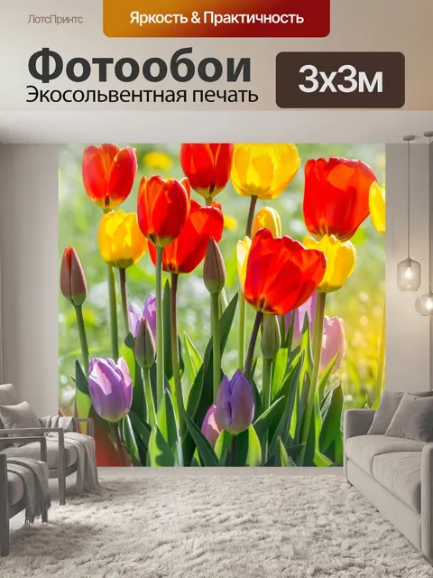 Фотообои Тюльпаны