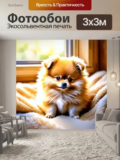 Фотообои сжимающийся крошечный щенок померанского шпица, уютно расположившийся на мягком пледе
