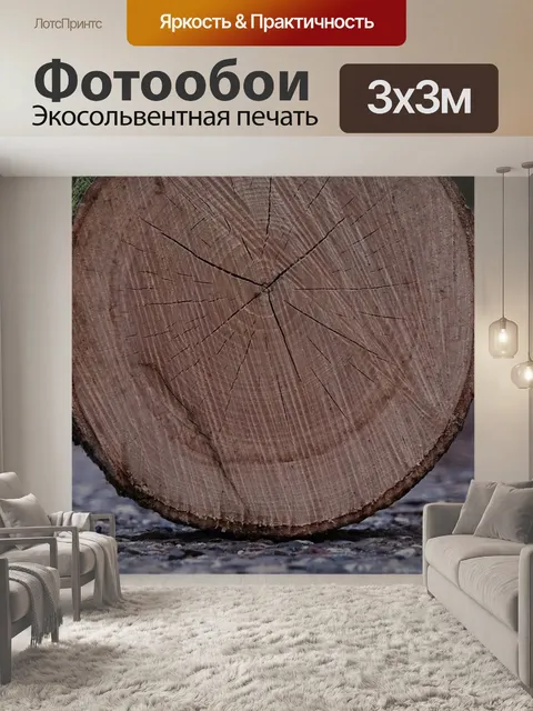 Фотообои Мох