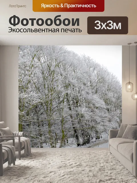 Фотообои Зимние деревья