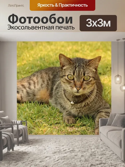 Фотообои Гата