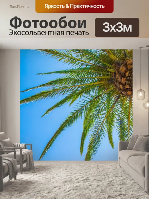 Фотообои Пальмы и голубое небо