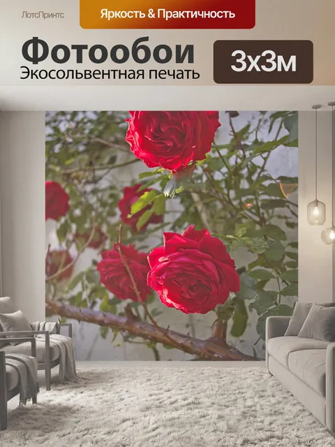 Фотообои Цветы