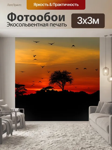 Фотообои Заход солнца