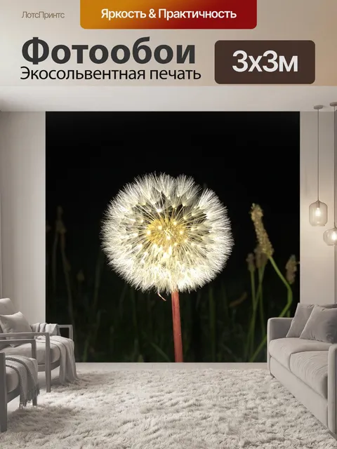 Фотообои Одуванчик