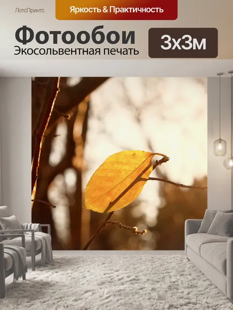 Фотообои Лист