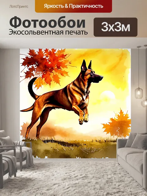 Фотообои падение собаки породы малинуа, запечатлённое в мгновение на фоне заката