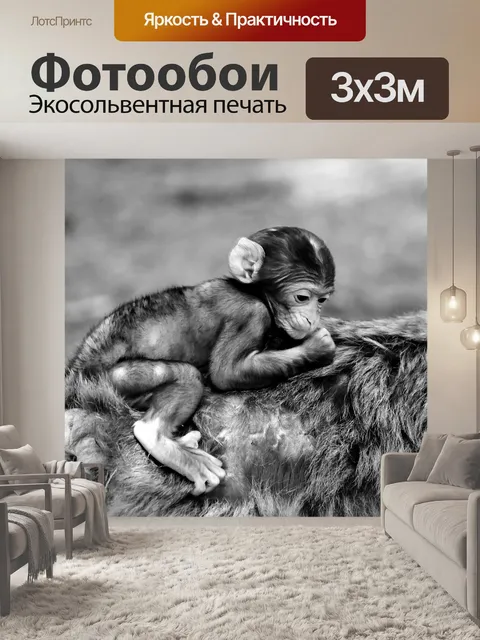 Фотообои Детеныш обезьяны