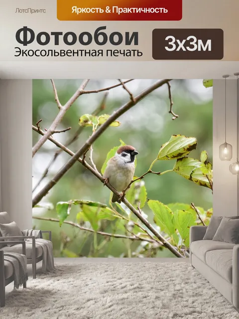 Фотообои Животное