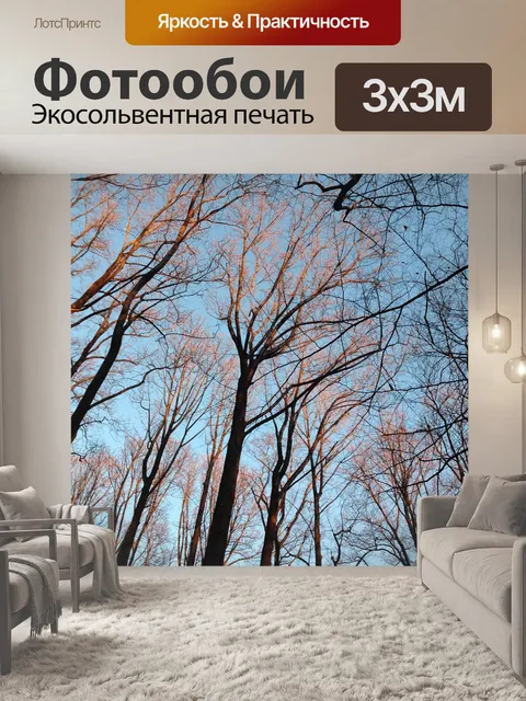 Фотообои Восход солнца