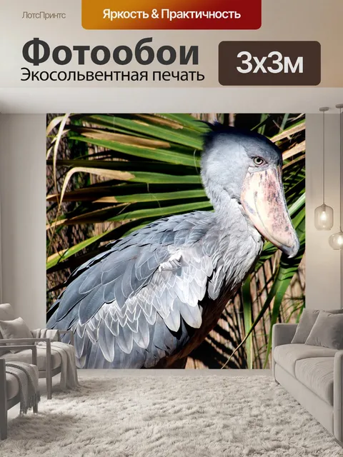 Фотообои Птица