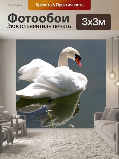 Фотообои Животное