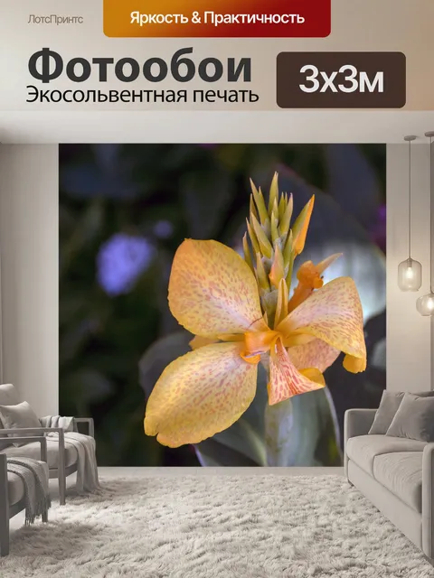 Фотообои Оранжевый цветок лилии