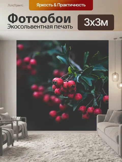 Фотообои Ягоды