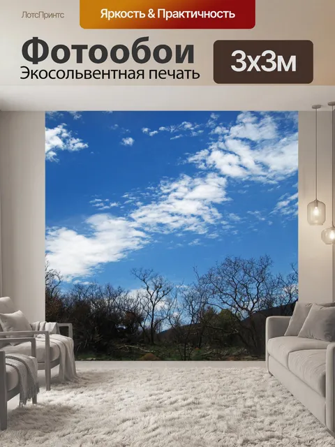 Фотообои деревья на вершине холма