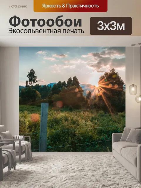 Фотообои Дорога