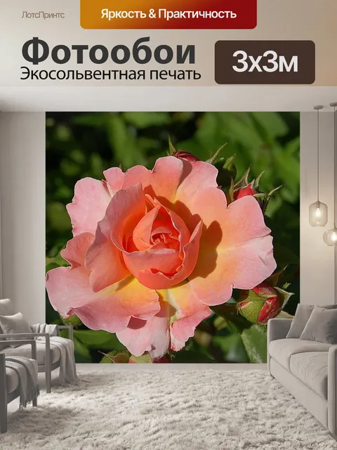 Фотообои Розы