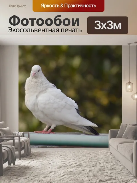 Фотообои Птица