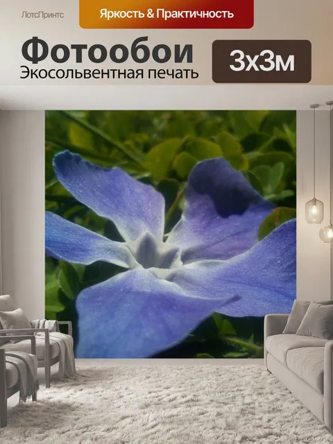 Фотообои Листья