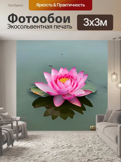 Фотообои розовая лотос, плавающий на спокойной поверхности пруда, окутанного легким туманом
