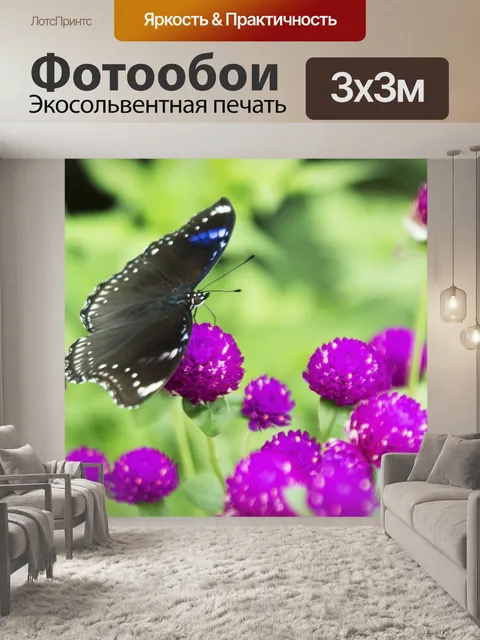 Фотообои Бабочка
