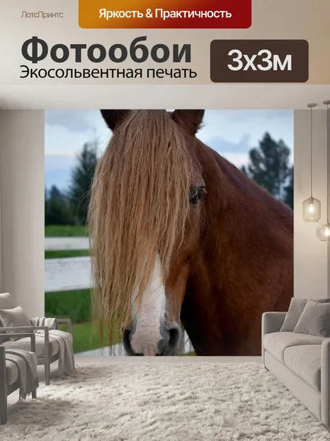 Фотообои Лошади