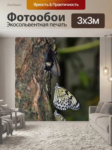 Фотообои Бабочки на дереве