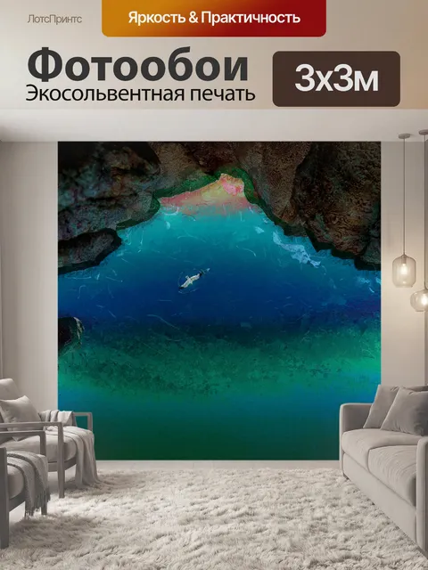 Фотообои Чайка летать