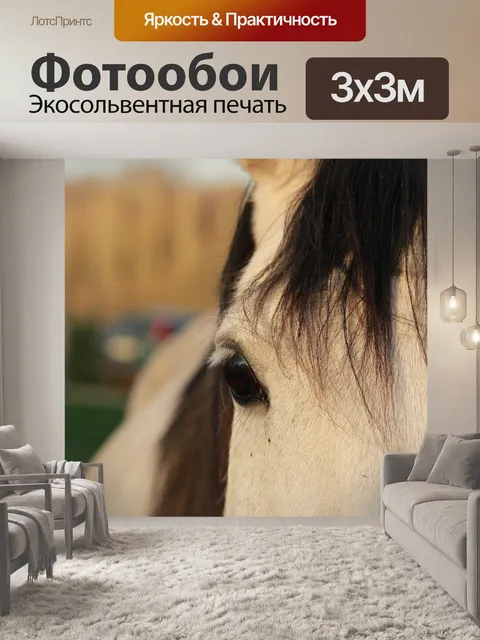 Фотообои Лошадь