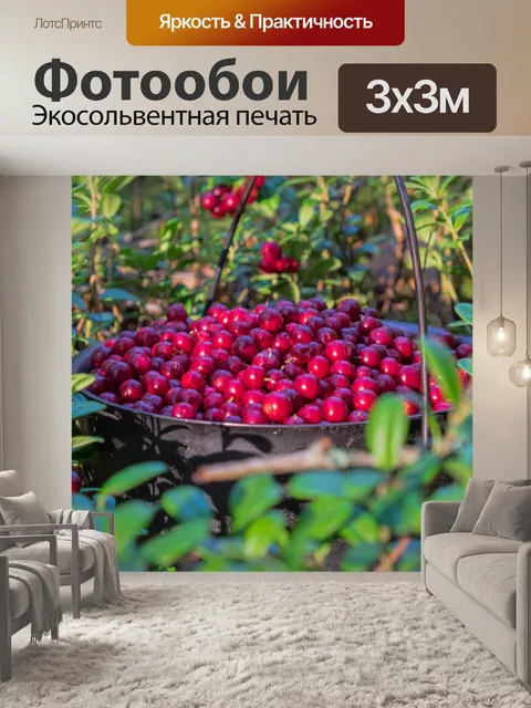 Фотообои Котелок брусники