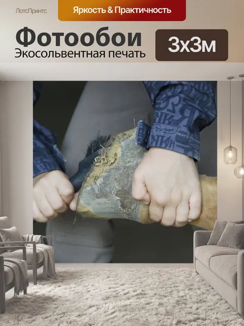 Фотообои Уход за копытами