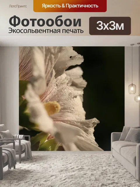 Фотообои Цветок
