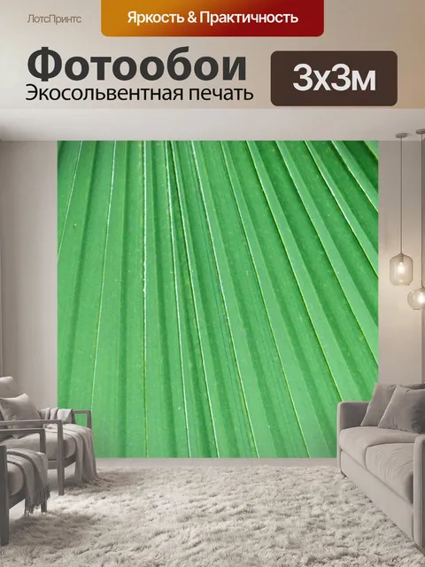 Фотообои Пальмовых листьев