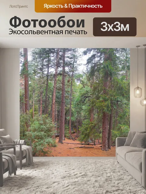 Фотообои Панорама Калифорнии Вудс