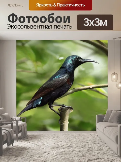 Фотообои Чернить