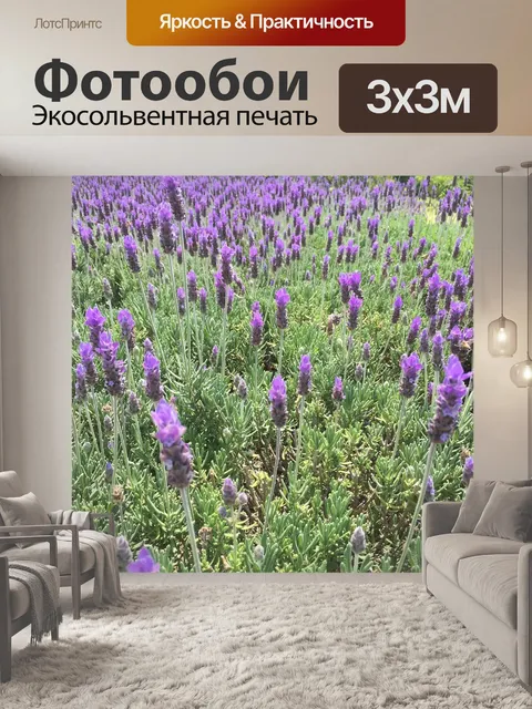 Фотообои Лаванда