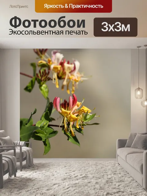 Фотообои Цветы
