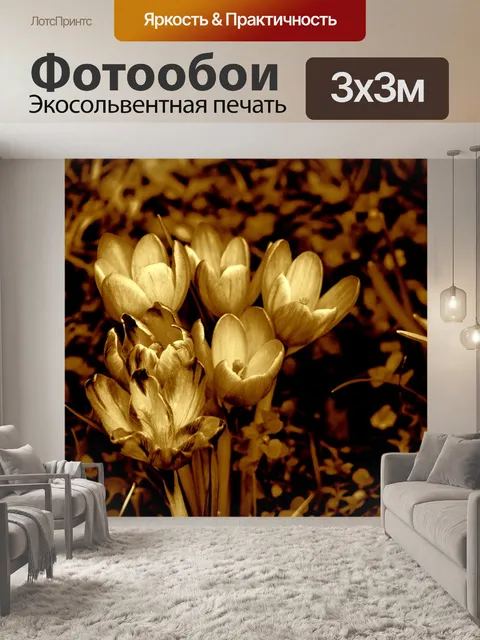 Фотообои Графика