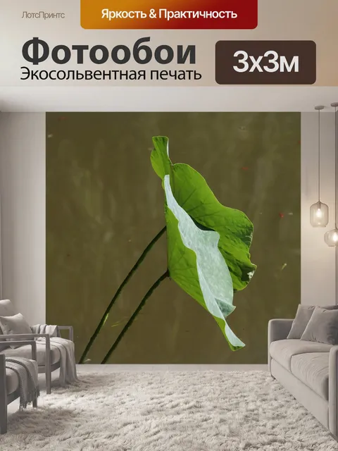 Фотообои Листья лотоса