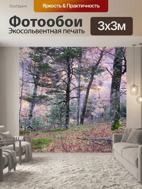 Фотообои Лес