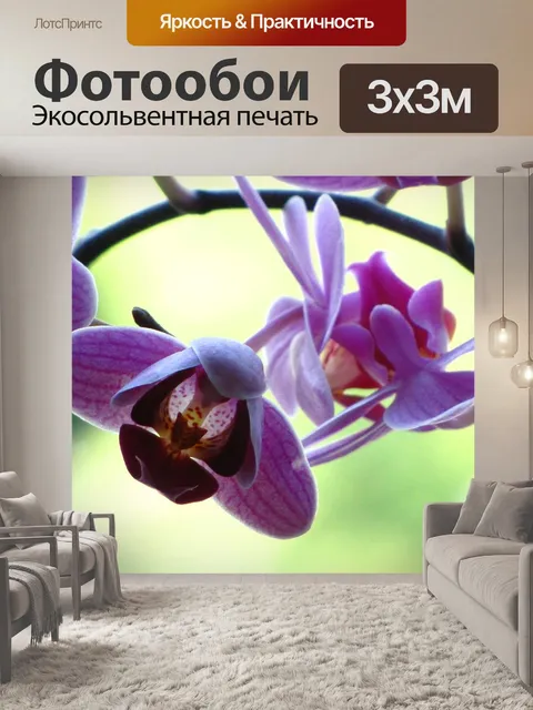 Фотообои Орхидея