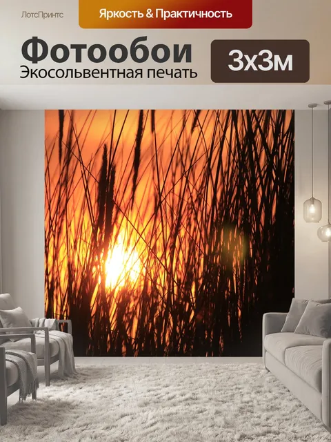 Фотообои Солнце
