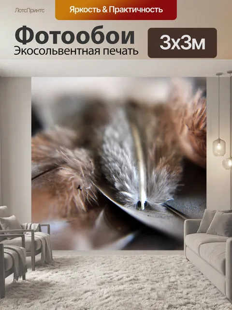 Фотообои Птичьи перья 2