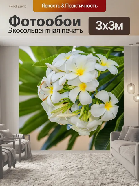 Фотообои Цветок