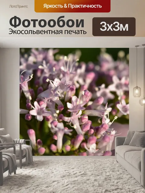 Фотообои Расцветает