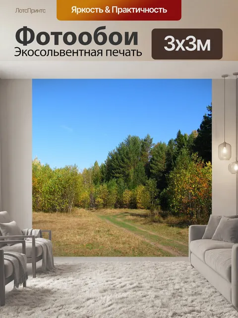 Фотообои Лес