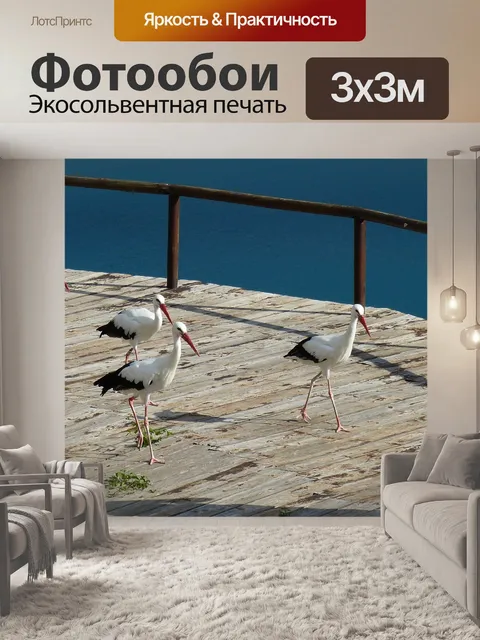 Фотообои Птицы
